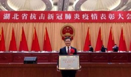 湖北最新爆料新闻视频,揭秘XX事件背后真相